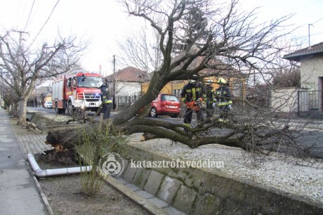 Címről címre haladva folyamatosan dolgoznak a tűzoltók - Fehérvárról érkezett a legtöbb jelzés