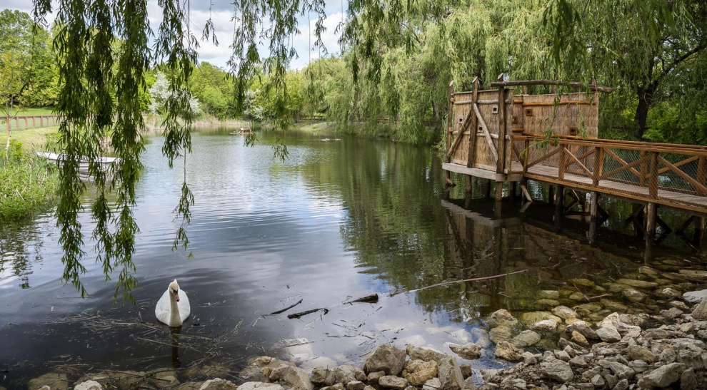 Március 6-tól minden nap nyitva a Pákozdi Pagony - erdei iskola is lesz
