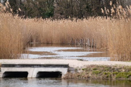 Nagy a készülődés a Sóstón - először nyitották meg a Déli-tómeder zsilipjét