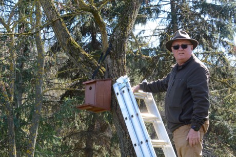Madárbarát Fehérvár – a Rácbányába is kerültek költőodúk