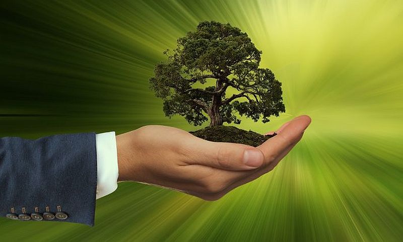 Fehérvárra is érkezik az országos zöldgazdasági fórumsorozat