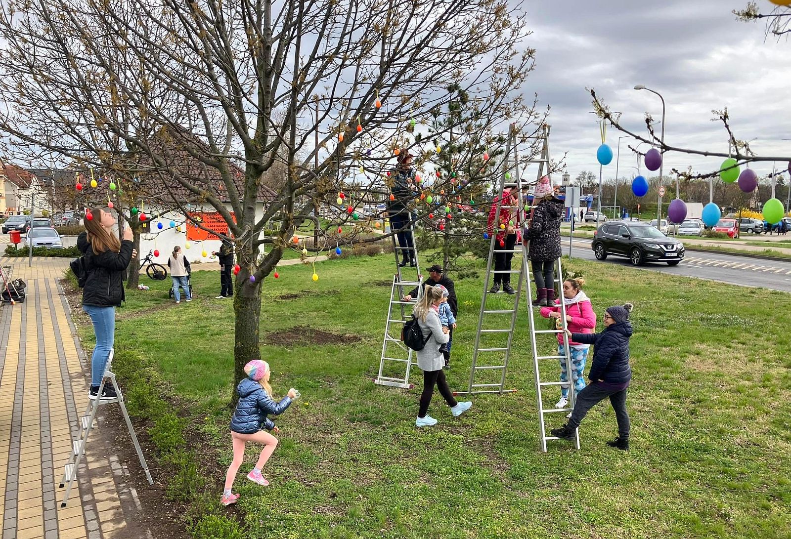 Kétezer tojást szednek le a fákról szombaton a Maroshegyen