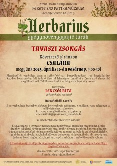 Tavaszi zsongás Csalán – vasárnap folytatódnak a Herbarius túrák