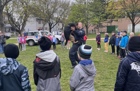 Rendőrök a Kodály iskolában - előadást és kutyás bemutatót tartottak a gyerekeknek