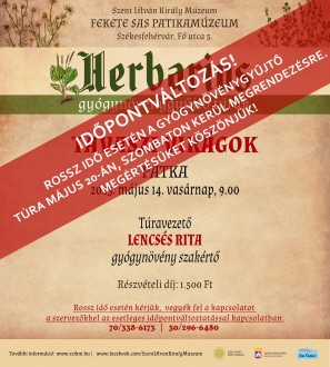 Szombaton pótolják a május 14-én elmaradt Herbarius túrát Pátkán