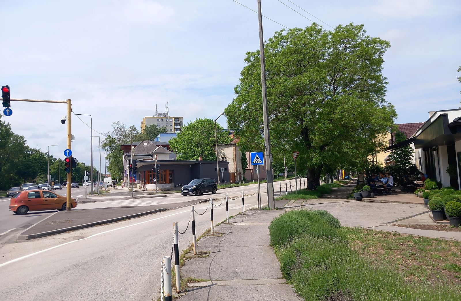 Hétfőn a reggeli csúcs előtt gallyazzák a fákat a Király sor - Budai kereszteződésben