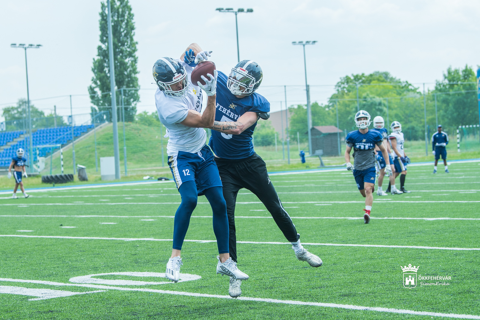 Nagy kihívás elé nézünk, de a végsőkig küzdeni fogunk – sajtónyilvános edzést tartott a Fehérvár Enthroners
