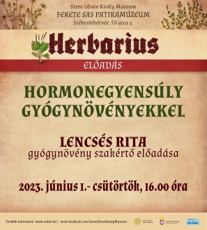 Hormonegyensúly gyógynövényekkel – Lencsés Rita előadása