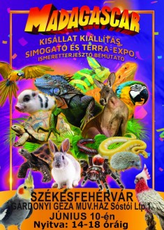 Madagascar – színes kisállat-kiállítás lesz szombaton a Gárdonyi Géza Művelődési Házban