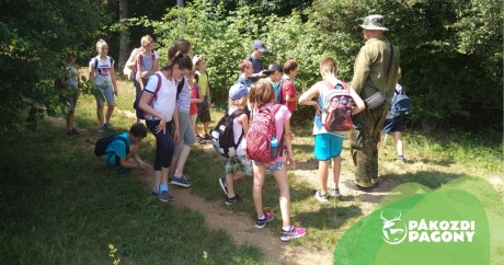 KalandoZOO élménytáborokat szerveznek a Pákozdi Pagonyban