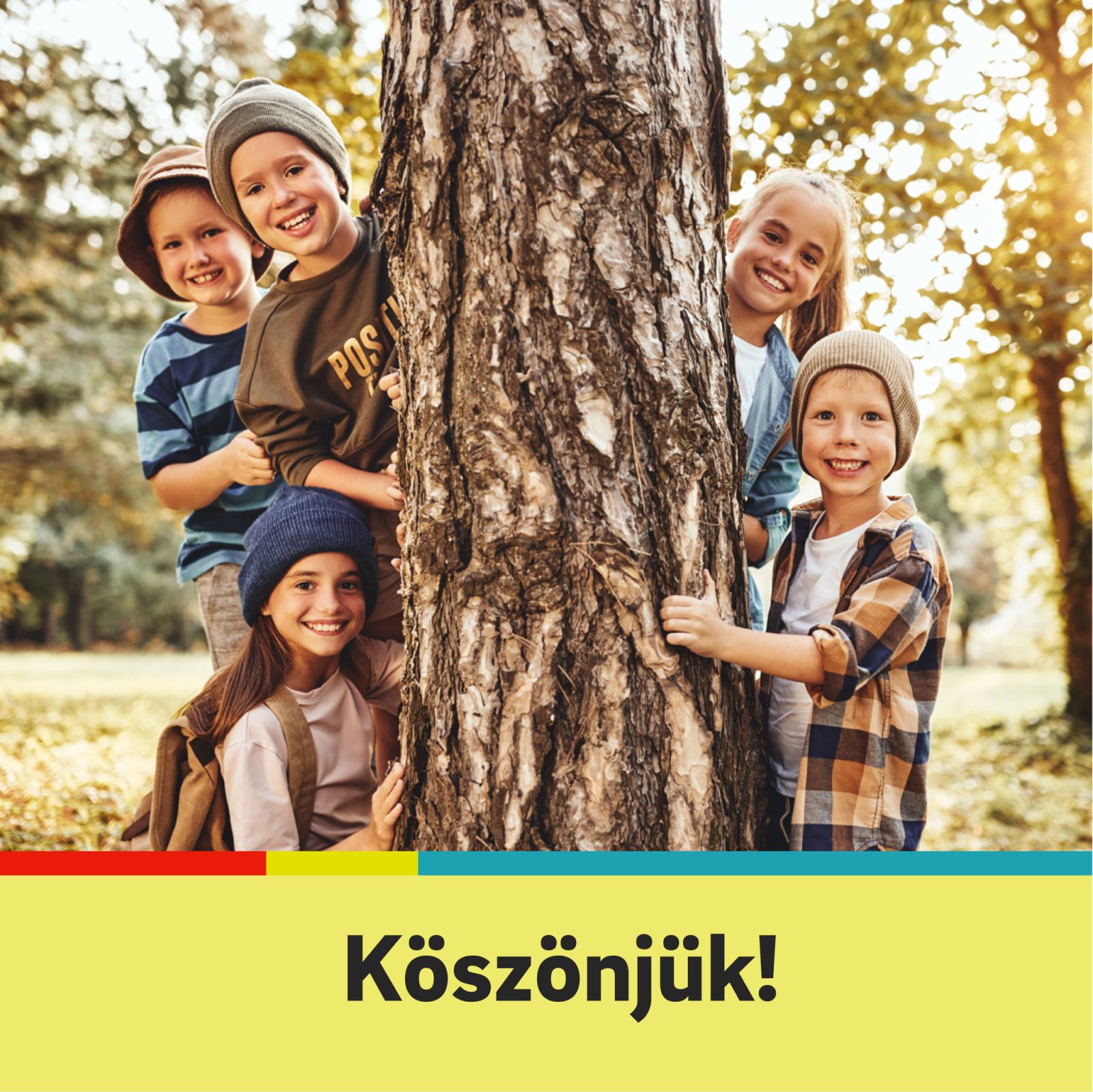 A Kodály suli és a Gyöngyvirág ovi is számít a szavazatunkra – zöld célokat segít az E.ON pályázata