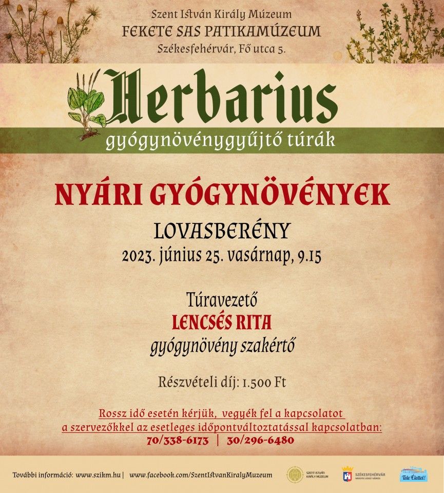 Lovasberényben folytatódik a Herbarius gyógynövénytúrák sora