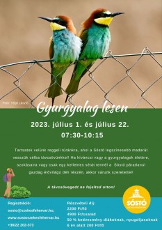 Gyurgyalag-les és mesetúra is lesz a Sóstón a következő hétvégéken