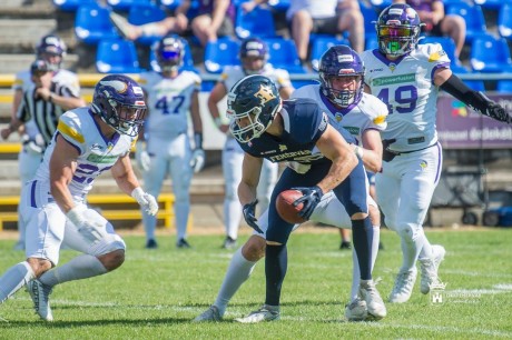 A címvédő Vienna Vikings nyert a First Fielden, a Fehérvár Enthroners otthonában