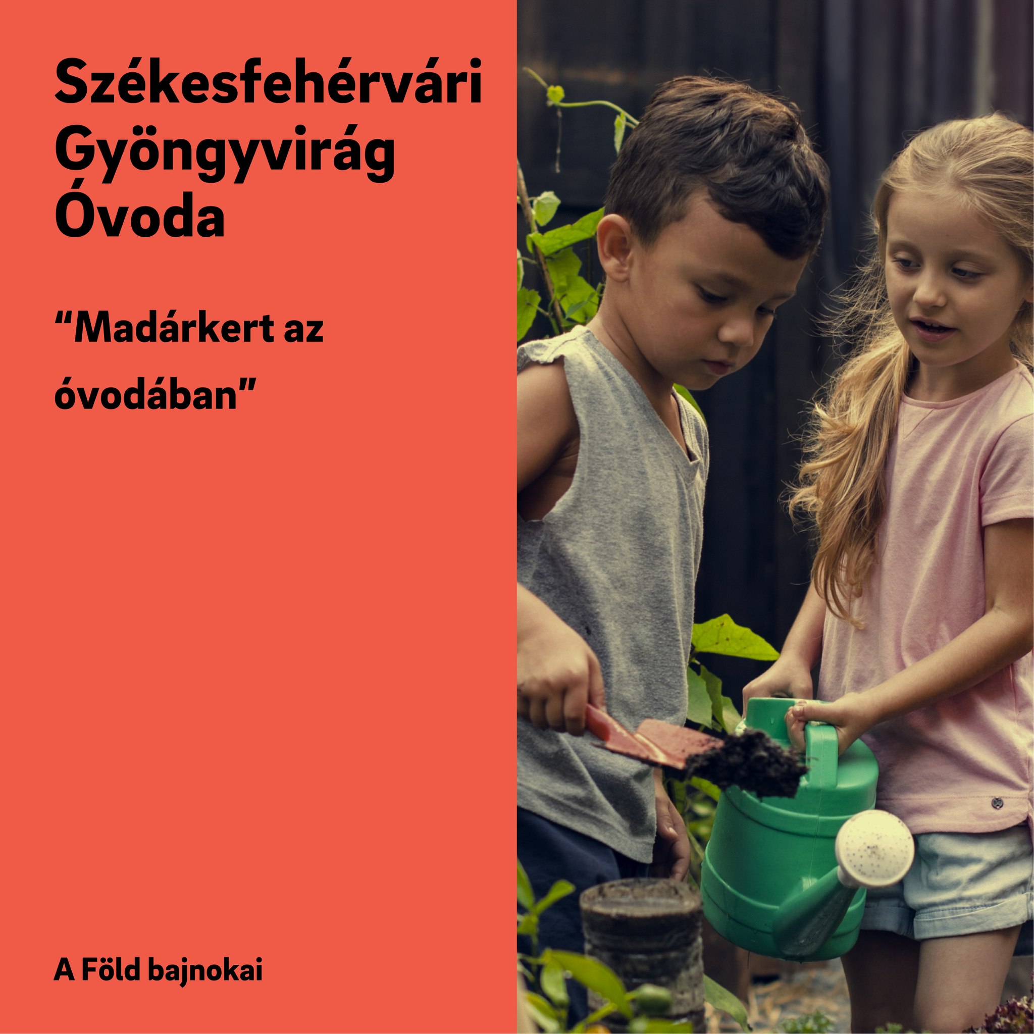 Sikeres volt a pályázat – megvalósulhat a Gyöngyvirág Óvoda Madárkertje!