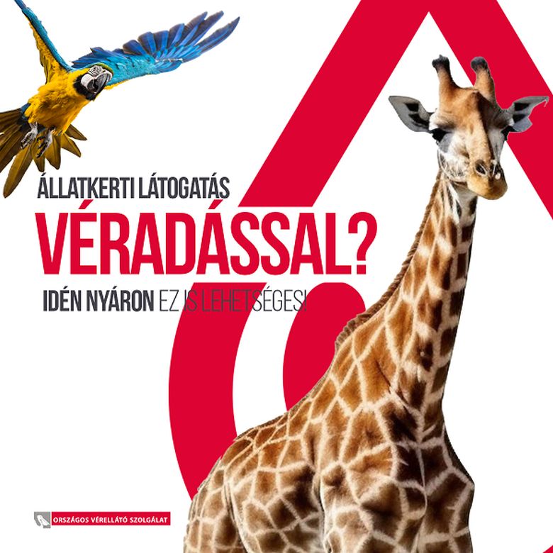 A hónap végéig tart a véradó nyereményjáték az állatkerti belépőkért