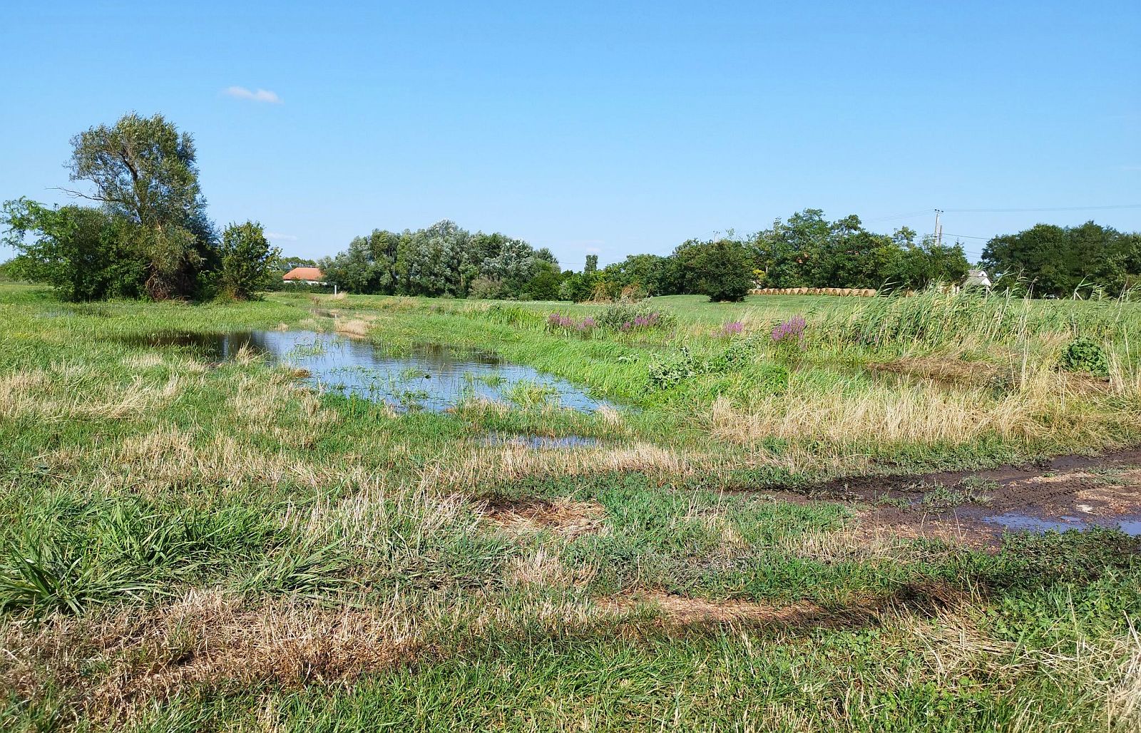 Folyamatosan dolgozik a Városgondnokság a vízelvezetés biztosításán a Lugosi ároknál