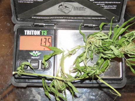 Továbbra is börtönben marad a kábítószer-kereskedő fehérvári duó 