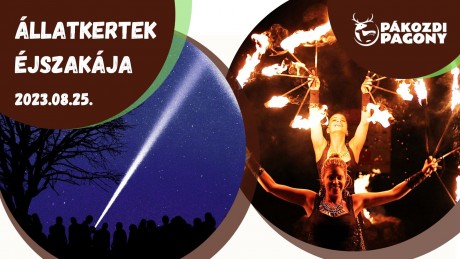 Tűzzsonglőr show, fluoreszkálós kézművesség is lesz az Állatkertek Éjszakáján, a Pákozdi Pagonyban