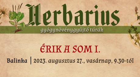Érik a som – vasárnap Balinkán folytatódik a Herbarius gyógynövénytúra