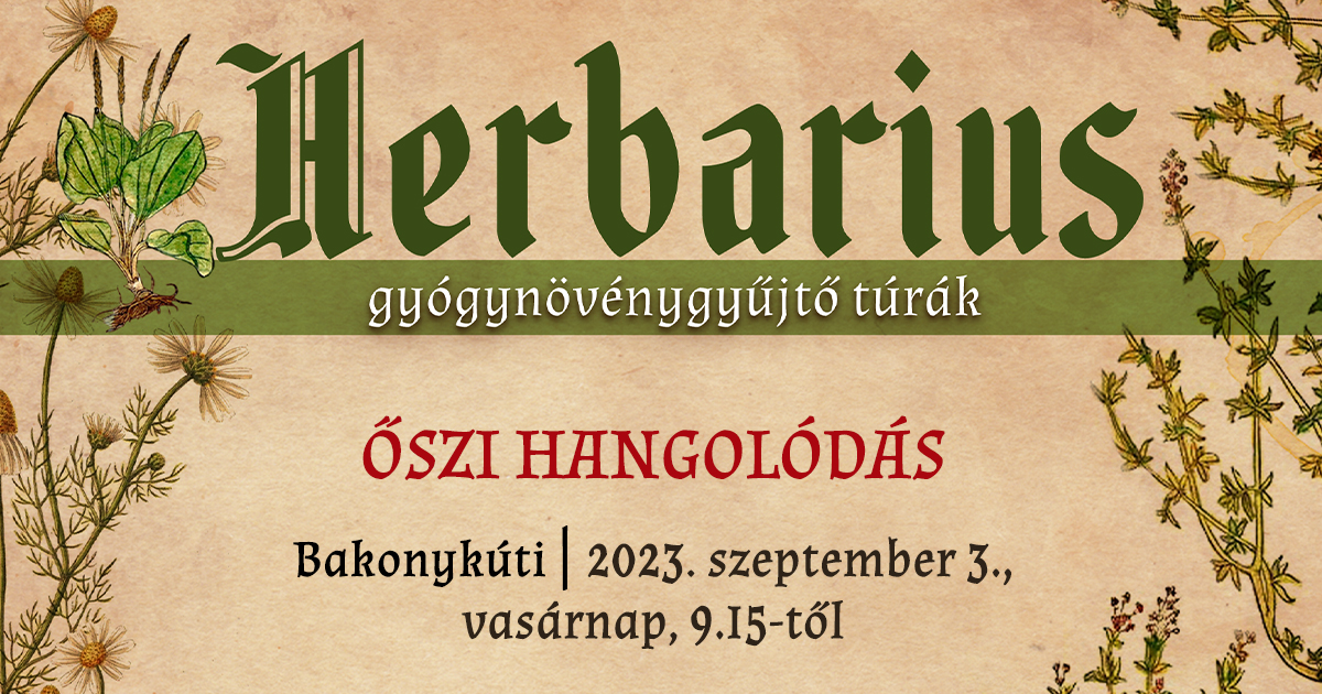 Őszi hangolódásra csábít a Herbarius túra vasárnap Bakonykútiban