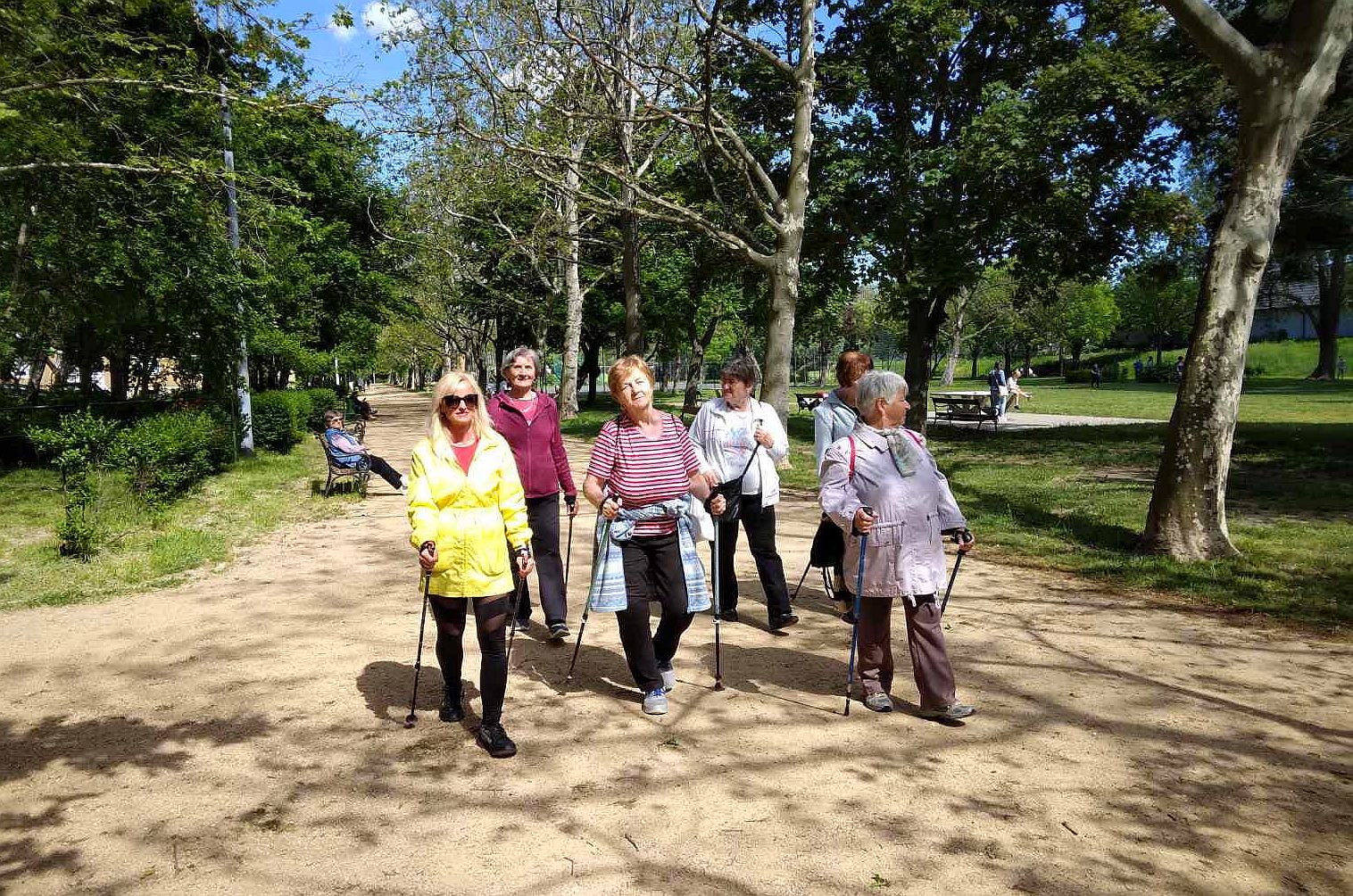 Ingyenes Nordic Walking foglalkozások október 30-ig Székesfehérváron