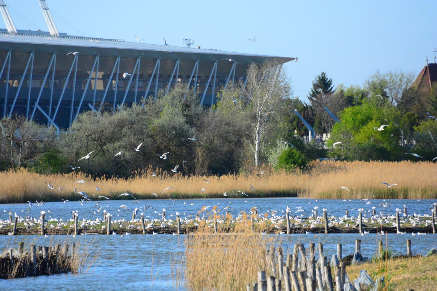 Délelőtt mesetúra, délután stadiontúra lesz szombaton a Sóstón