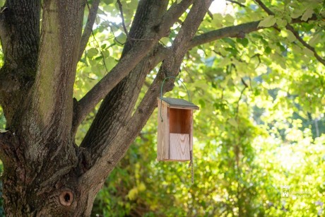 A Föld bajnokai - Madárkert készül a Gyöngyvirág Óvodában