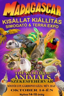 Madagascar a Maroshegyen – kisállat-kiállítás fotózkodással szombaton a Gárdonyiban