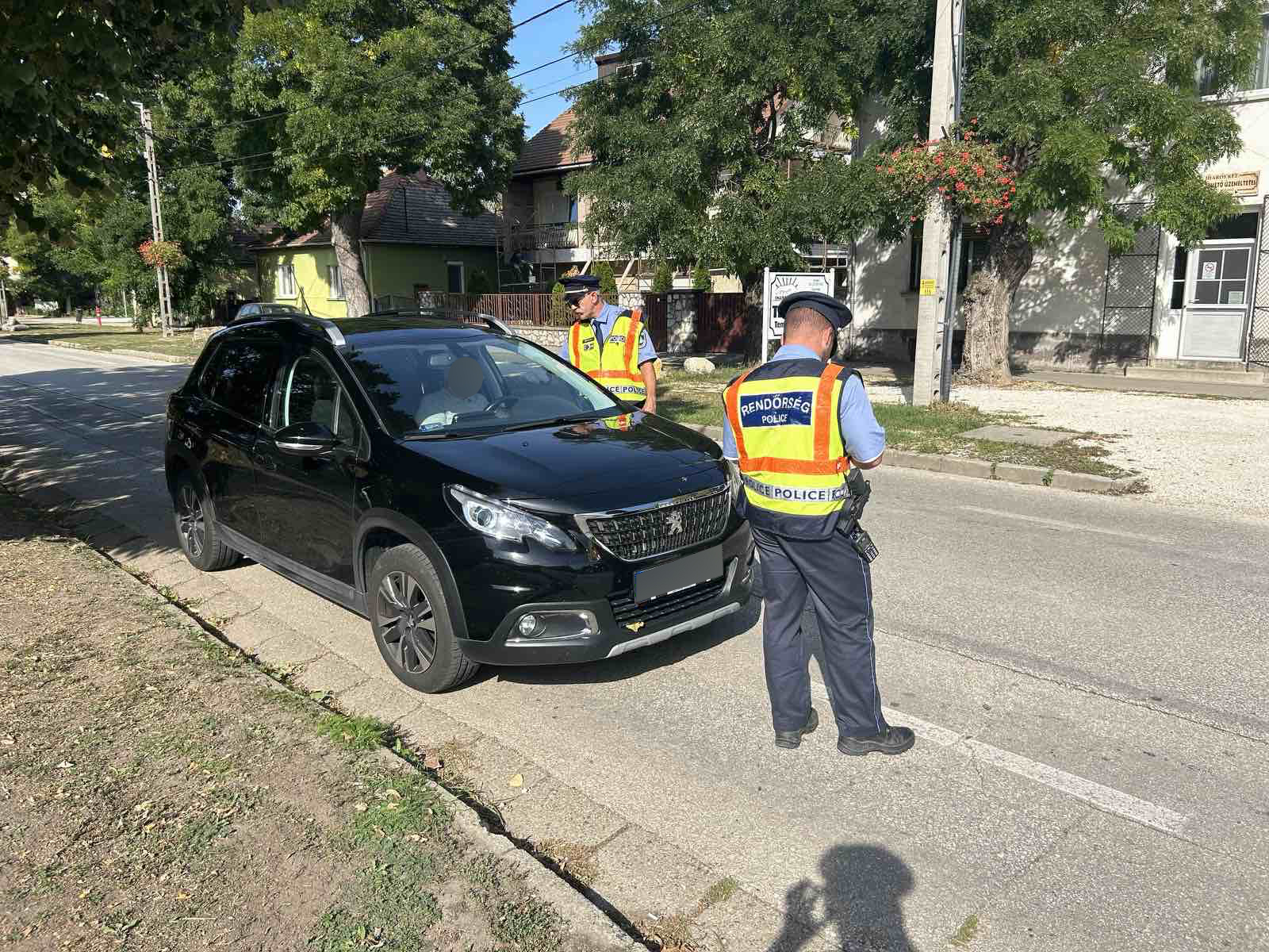 Egyre több a vadbaleset - a rendőrség közlekedésrendészeti összefoglalója