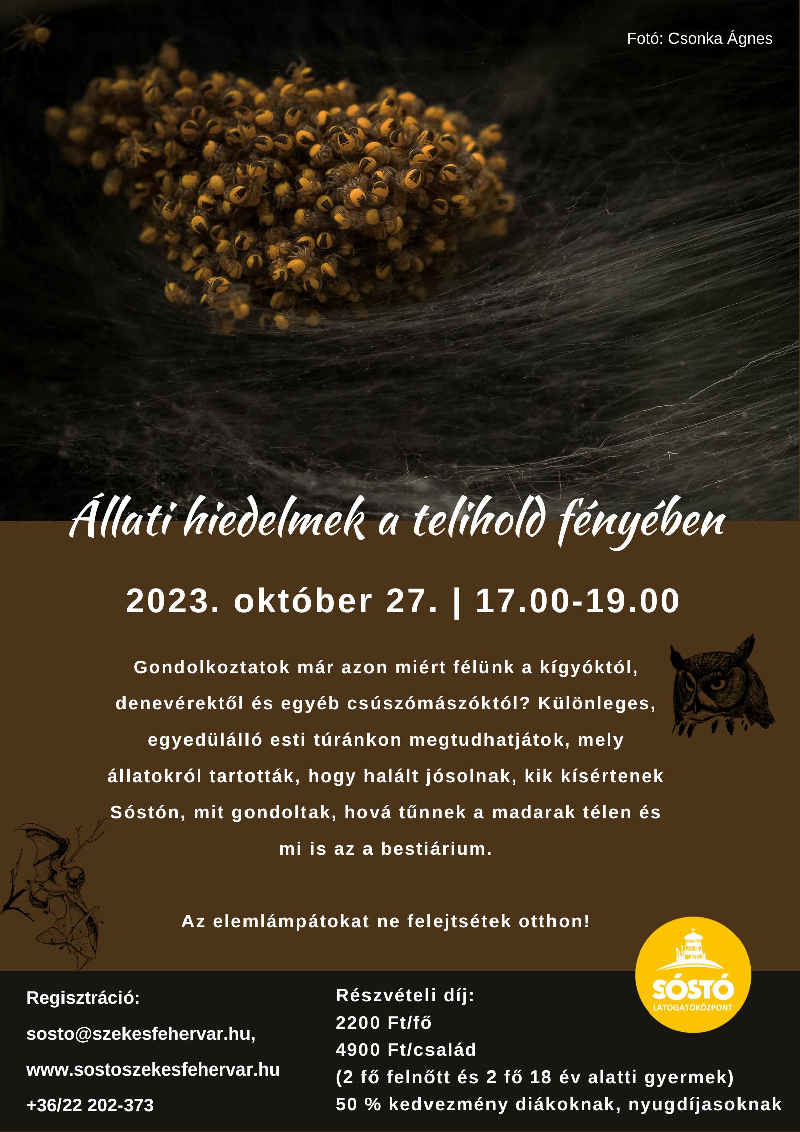Állati hiedelmek a telihold fényében – különleges túrát rendeznek a Sóstón október 27-én