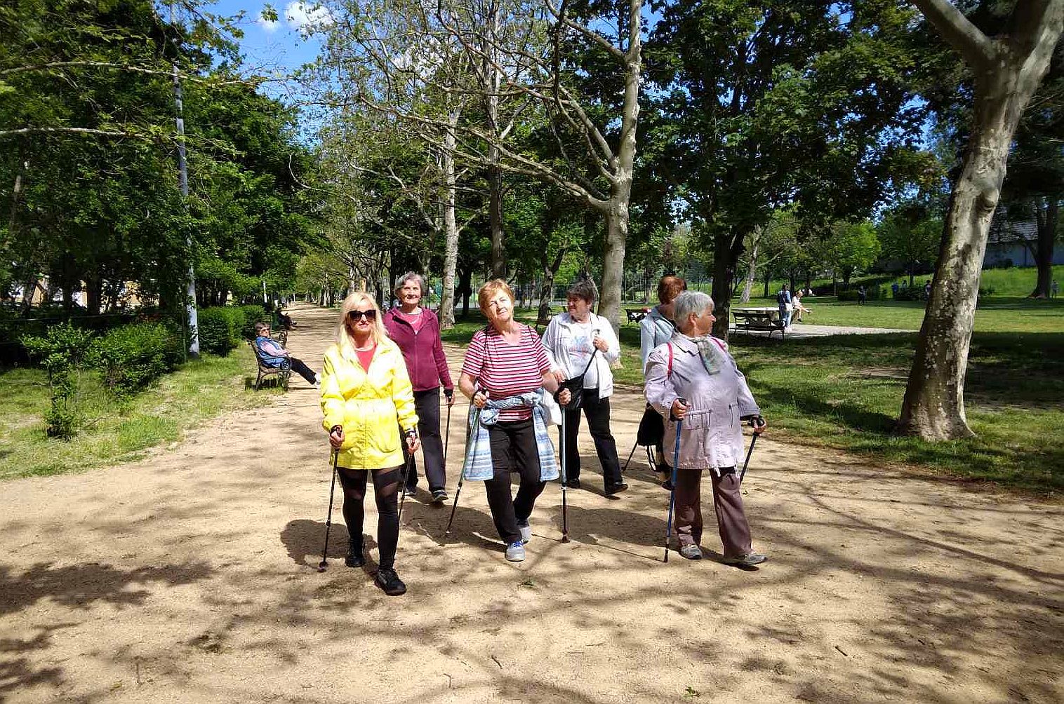 Nordic walking: novemberben nyolc helyszínen várják az érdeklődőket