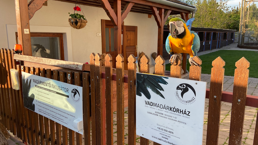 Felújítás után ismét fogadja a sérült madarakat a sukorói Vadmadárkórház