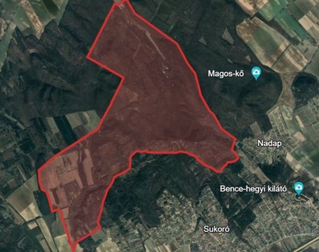 Szombaton erdőlátogatási korlátozások lesznek Lovasberény, Sukoró és Nadap környékén