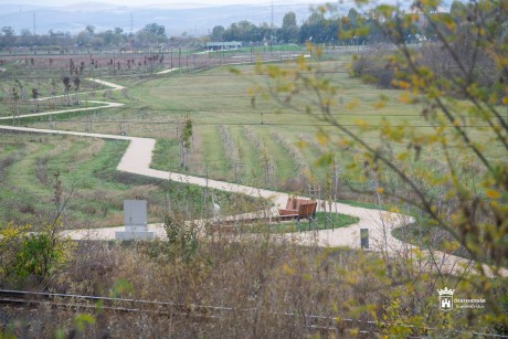 Fehérvár Tüdeje – lezárult az Alsóvárosi rét nagyszabású zöld- és rekreációs fejlesztése