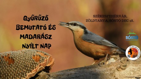 Gyűrűző bemutatóval, vadvédelmi estékkel és óévi túrával vár a Sóstó a két ünnep között