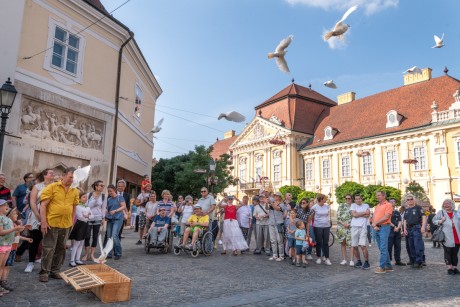 Székesfehérvár 2023 - ez történt idén májusban