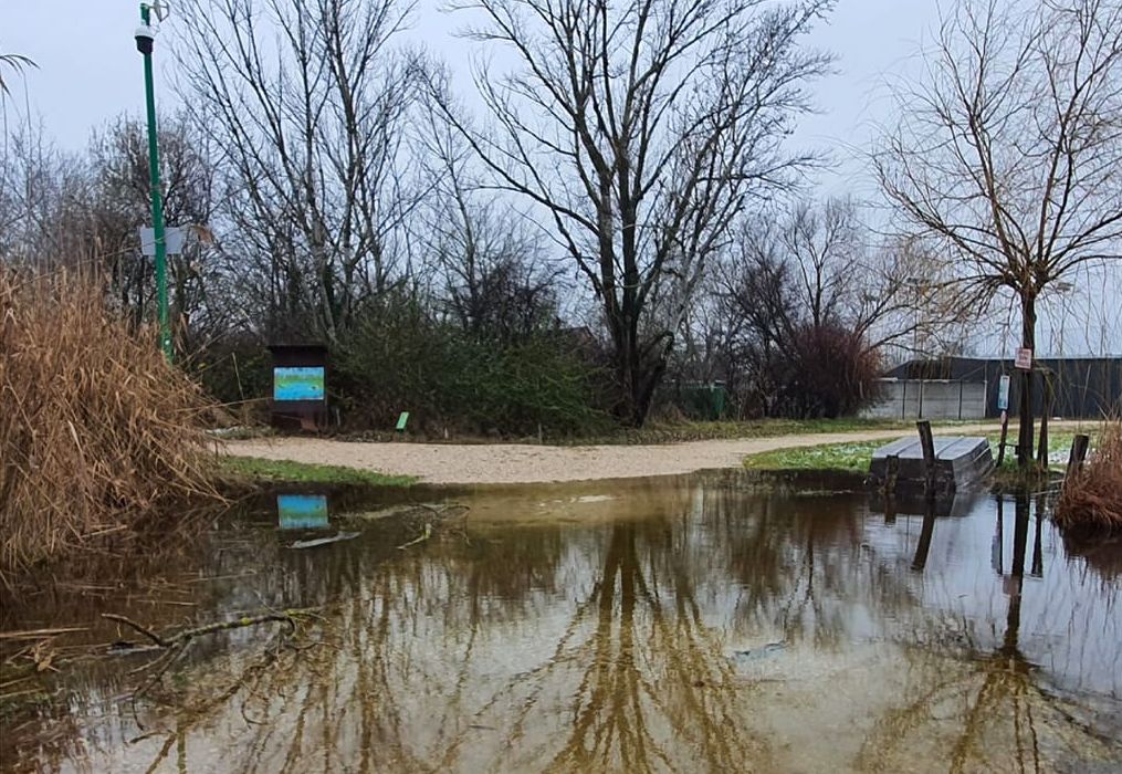 Magasan van a talajvíz - csak gumicsizmában látogatható a Sóstó Tanösvény