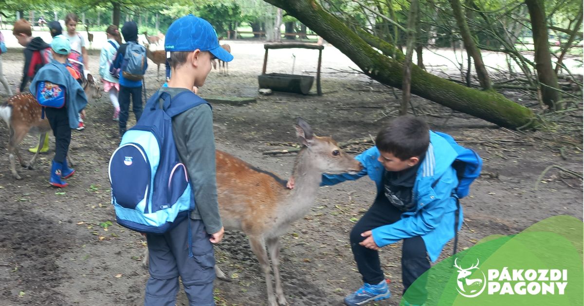 Szika Szerdával és felfedező rejtvénypályával várja a látogatókat a héten a Pákozdi Pagony