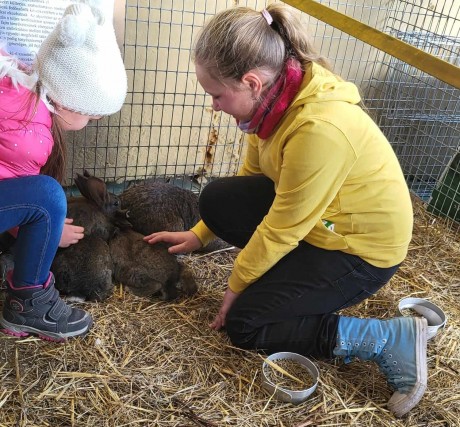Az év kisállat kiállításán jártak a Lurkók hétvégén