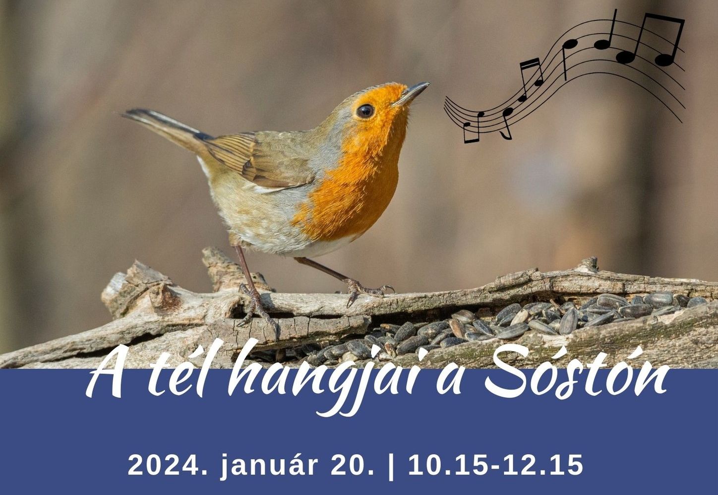 A tél hangjai a Sóstón – madármegfigyelő ökotúra lesz szombaton