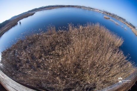 Vizes élőhelyek napja - sóstói kirándulás az ÖKK Podcasttal