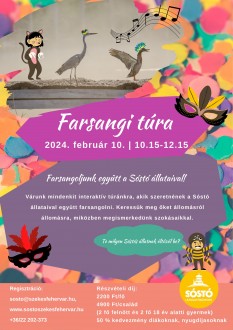 Farsangi túra és reflektorfényes stadiontúra is lesz szombaton a Sóstón