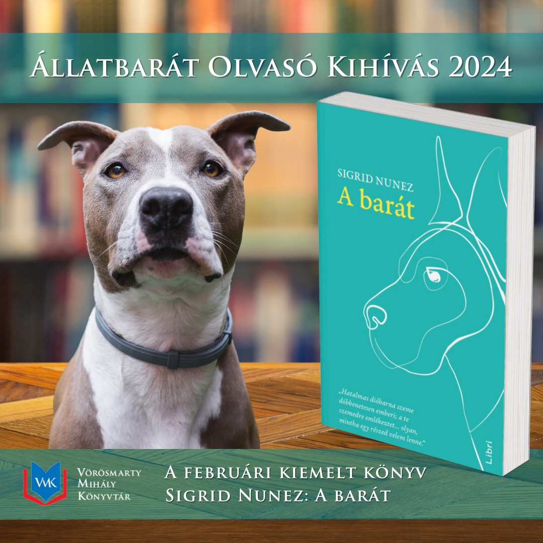Olvasói kihívások hónapról-hónapra – a VMK is csatlakozott az Állatbarát Könyvtár Programhoz