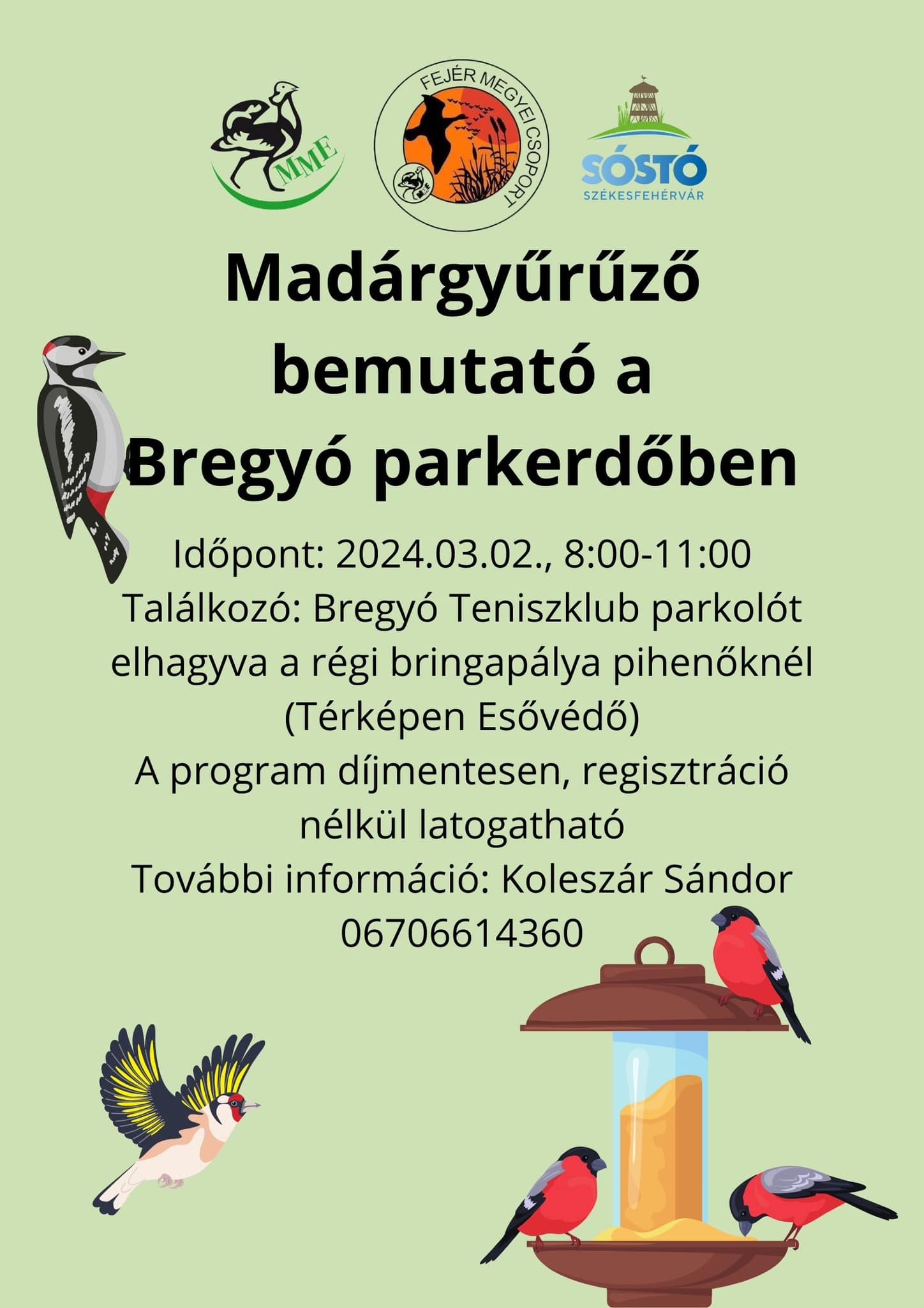 Madárgyűrűző bemutató lesz szombaton a Bregyó parkerdőben