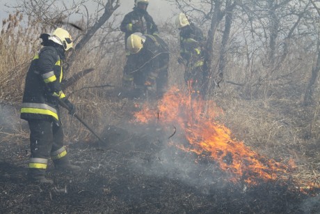Szabadtéri tüzekhez riasztják a tűzoltókat, idén már nyolcvan ilyen esetnél dolgoztak