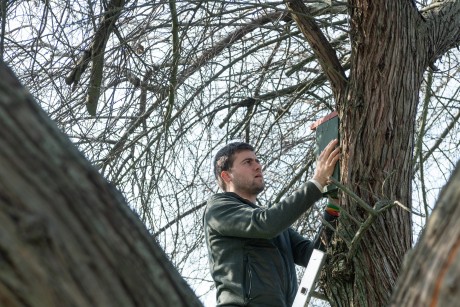 Madárbarát összefogás a Maroshegyen – elkezdődött az odúk kihelyezése a városrészben