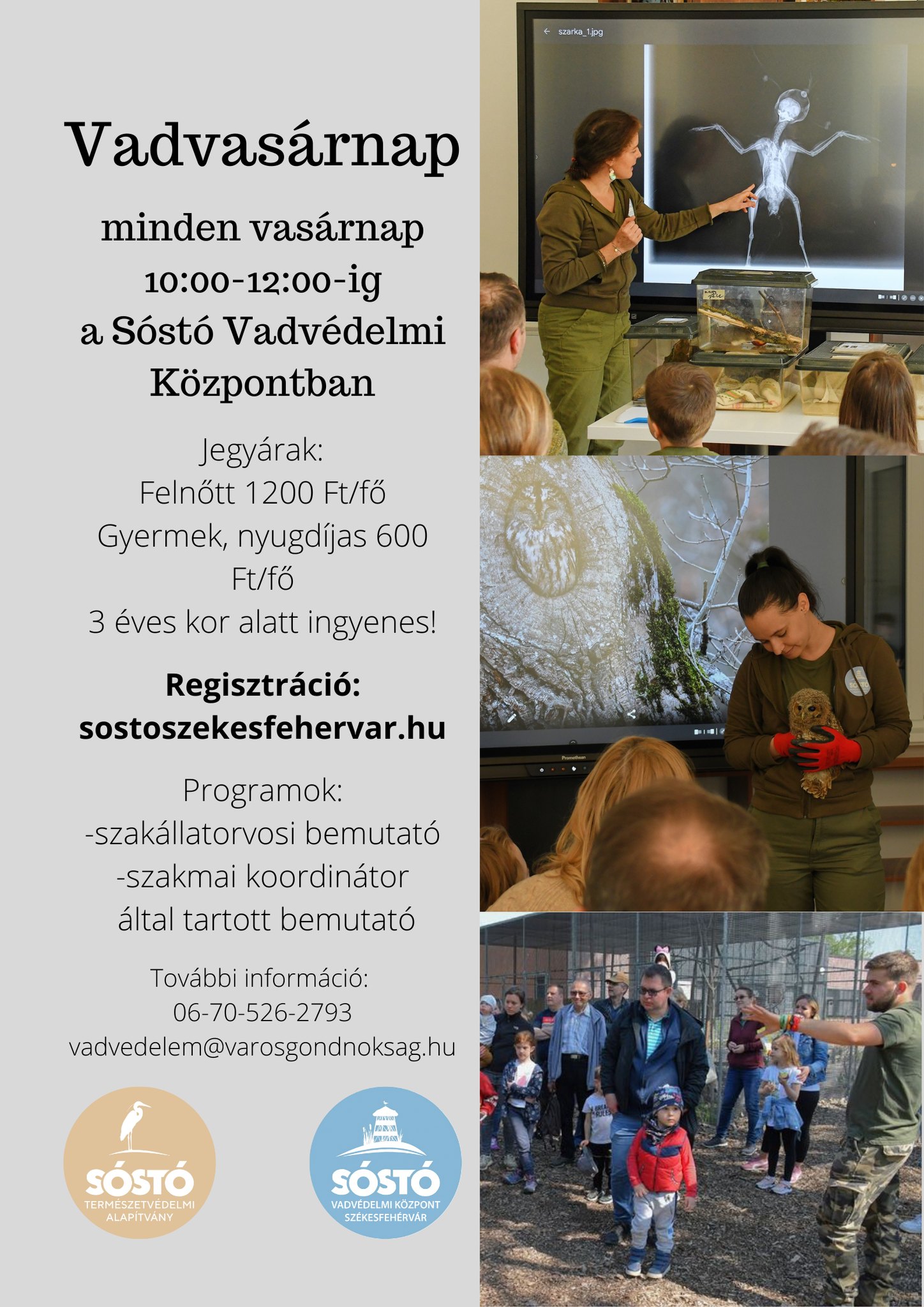 Vadvasárnap és Mesetúra is lesz a Sóstón a következő napokban