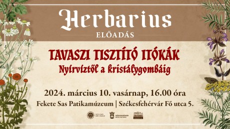 Tavaszi tisztító itókák – előadás a Fekete Sas Patikamúzeumban