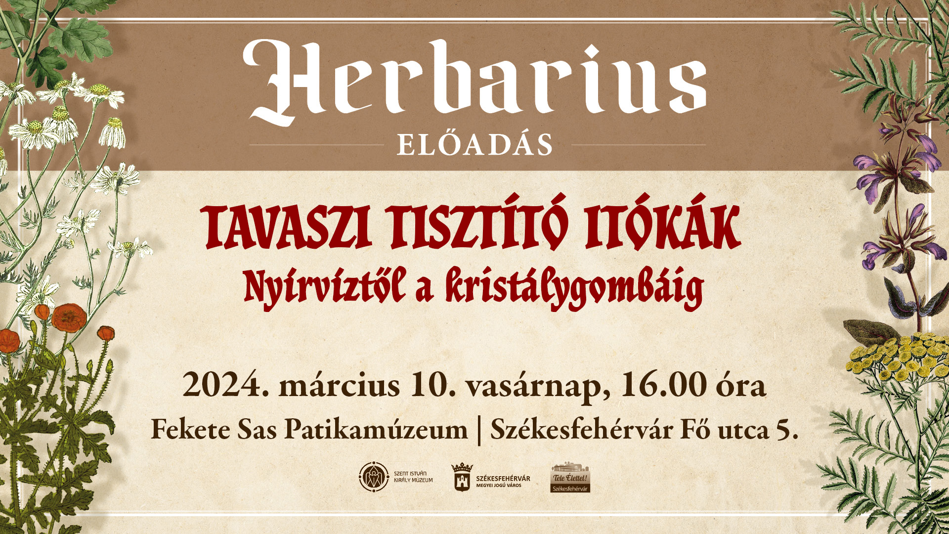Tavaszi tisztító itókák – előadás a Fekete Sas Patikamúzeumban